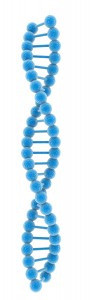 Dna Model