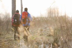 Full length rear view male hikers walking in field