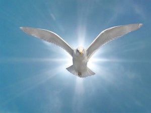 Holy Spirit