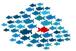 One fish swim in opposite direction, dare to be different concep